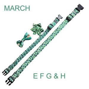 MARCH 17Th St Patricks Day shamrock clover collar bow flower create your own set